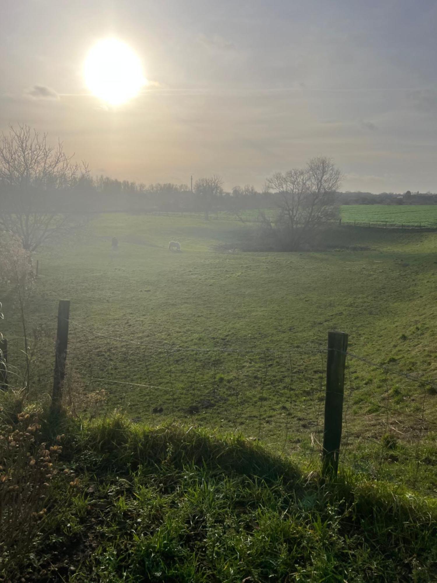 Geniet Van Een Charmante En Rustige Verblijfplaats In Lobith Bagian luar foto